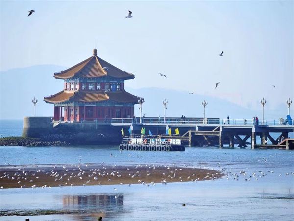 关于我们·青岛地接社大齐文旅 关于我们·青岛地接社大齐文旅