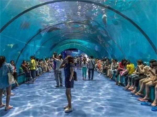 青岛研学旅行:海军博物馆、海信探索中心怎么排 青岛研学旅行:海军博物馆、海信探索中心怎么排