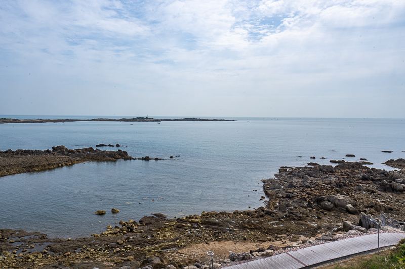 青岛特色海鲜菜品 青岛特色海鲜菜品
