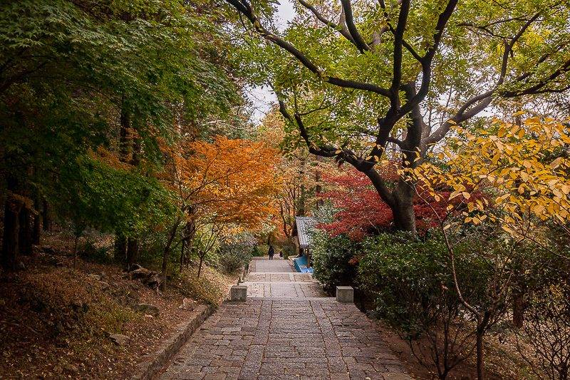 青岛出发蓬莱威海海驴岛五日游