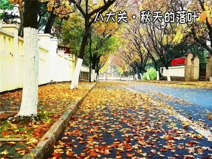 青岛威海烟台蓬莱崂山六日游_费用包含