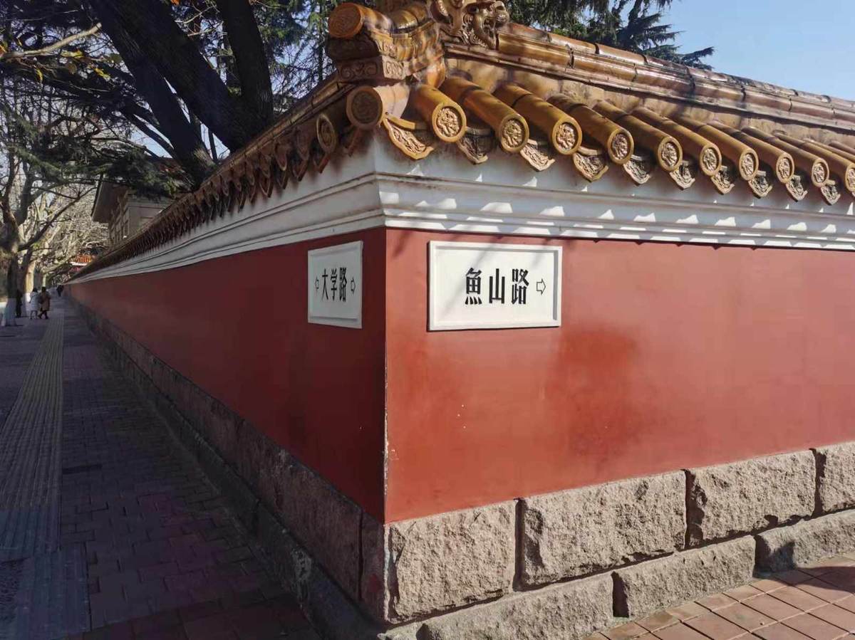 大学路网红墙