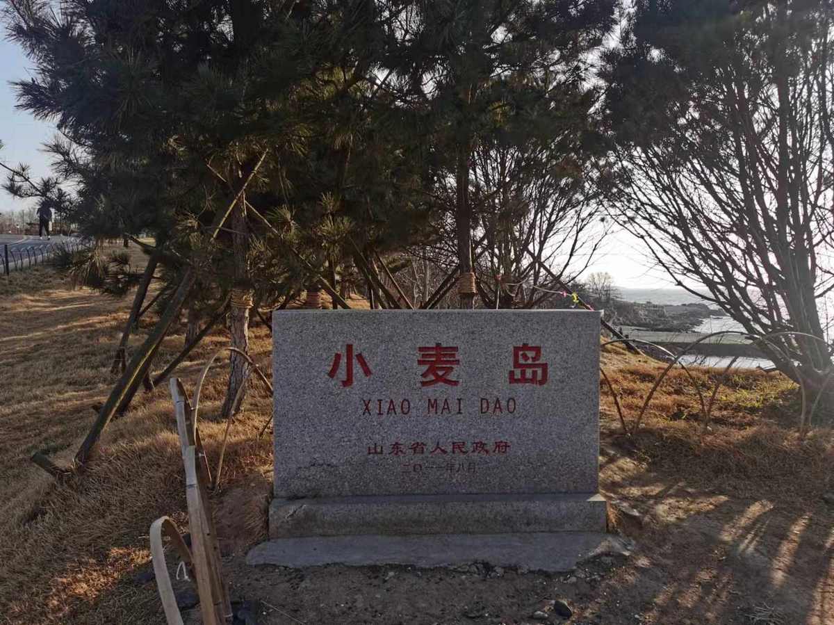 小麦岛公园